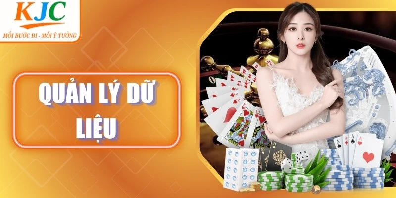 Dịch Vụ Quản Lý Dữ Liệu KJC